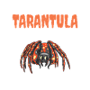 Spider Lover Gifts