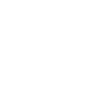 Life without basenji