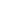 Life without Skye Terrier
