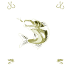 Pêche au Canada - Zander Hunter