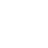 Vegvisir Emmental - White