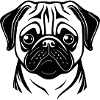 Pug