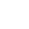 Elegant swimming old water turtle
