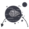 Astéroide nasal