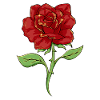 Boujee Aesthetic Red Rose Bougie