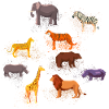 animals,wild animals,zebra,lion,elephant,bear,zoo