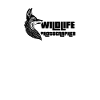 Wildlife Photographer