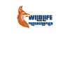 Wildlife Photographer