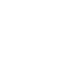 Domestic Cat