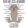 lustige Hauskatze Katze