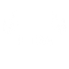 Name Petra