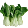 Pak Choi, Chinakohl,Gemüse