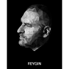 Feygin