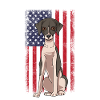 Whippet