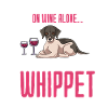 Whippet