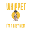 Whippet