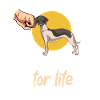 Whippet
