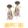 Whippet