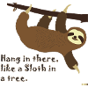 Sloth in tree