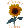 Flower Power