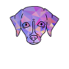 Whippet