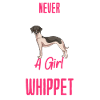 Whippet