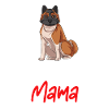 Akita