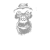 Ghana - Chimpanzees