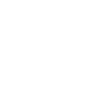 Koala - Koalabär