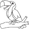 Tukan, Tukane, Vogel, Geschenk, Geschenkidee
