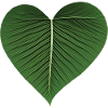 Green Leaf Heart