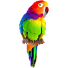 Pagai