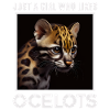just a boy girl who loves Ocelots Ocelot ocelot ocelot