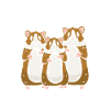 Nagetier Hamster