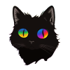 Cat Rainbow Eyes Animal