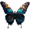 Papillon, chenille