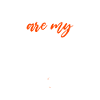 Spider Lover Gifts
