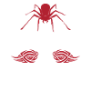 Spider Lover Gifts