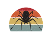 Spider Lover Gifts