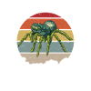 Spider Lover Gifts