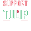 Tulips Farm Tulips