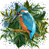 Bunter Vogel