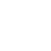 Life without Tibetan Terrier