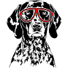 German Shorthair Goggles Dogs Dog Wilsigns