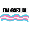 Trans Pride LGBT Transkønnet Gave Transseksuel