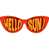 Hello Sun Sunglasses