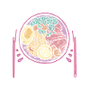 Food Is My Love Language