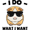 Guinea pig