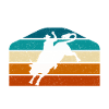 Cowboy Bull Riding Bulls