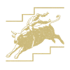 Cowboy Bull Riding Bulls